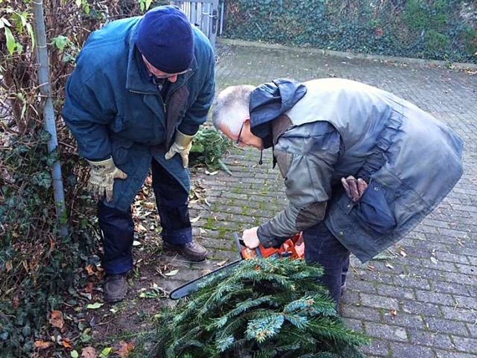In der Wiehre gibt es Weihnachtsbäume mit Makel für den guten Zweck zu kaufen.  | Foto: Oliver Müller