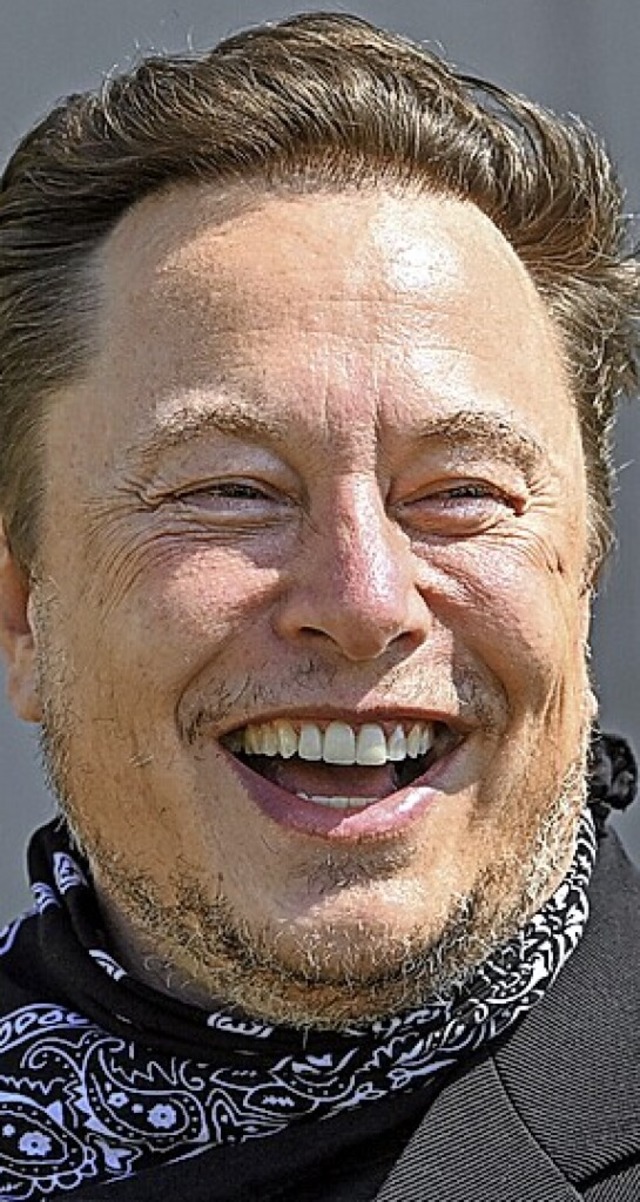 Elon Musk  | Foto: Patrick Pleul (dpa)