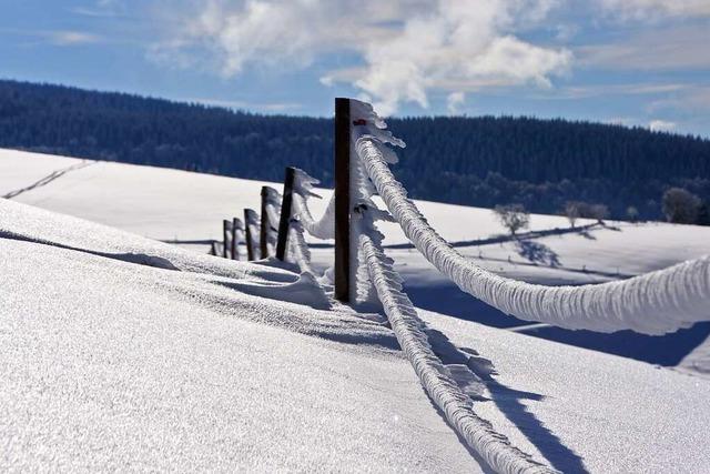 Wie sicherer Wintersport abseits der Loipe im Schwarzwald gelingt