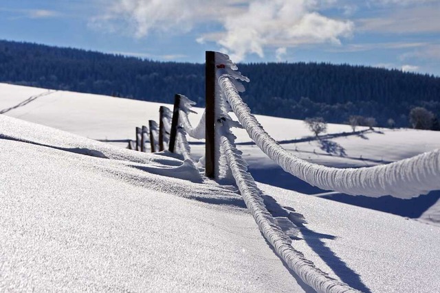 Nicht immer sind Hindernisse so gut si... Zaundrhte im Winter abgelegt werden.  | Foto: Ute Maier