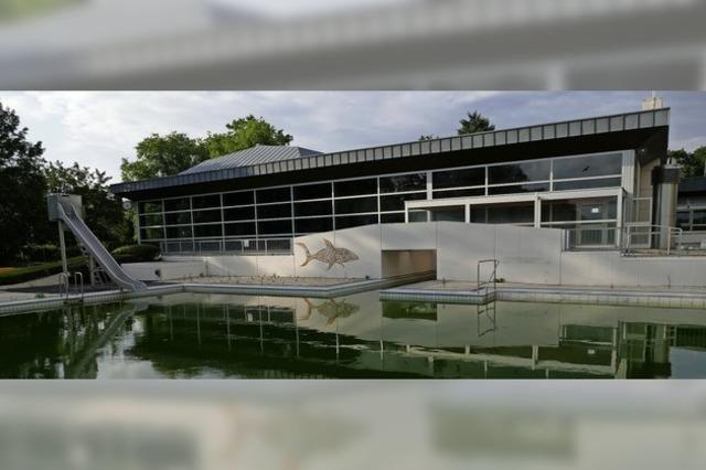 Der Schwimmverein Neptun Umkirch geht nicht unter
