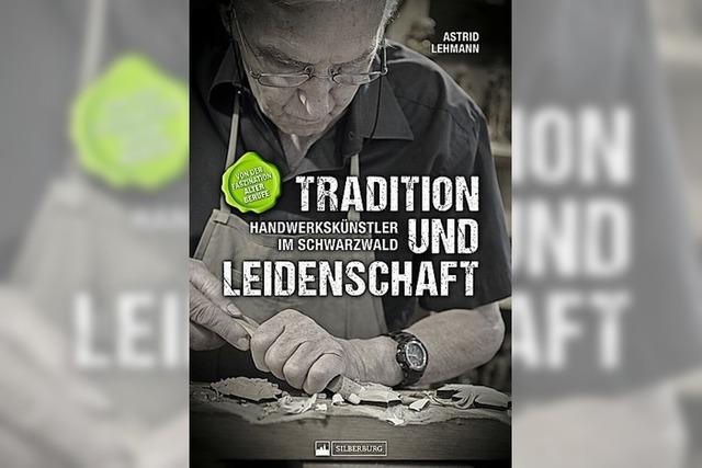 REGIO-BILDBAND: Schnes erschaffen