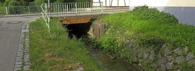 Der Hochwasserschutz am Weibach in Mundingen soll verbessert werden.   | Foto: Georg Vo