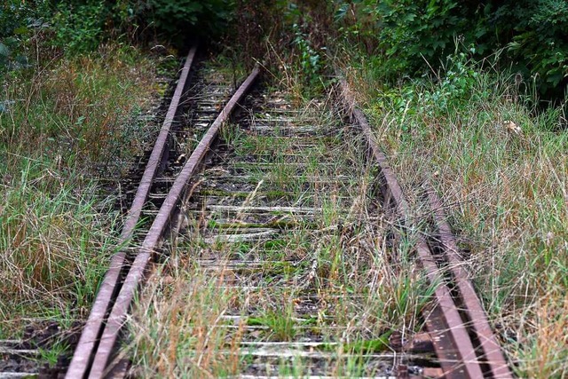 Die Einwnde der Gemeinde Grenzach-Wyh...ierung der Hochrheinstrecke verzgern.  | Foto: Swen Pfrtner