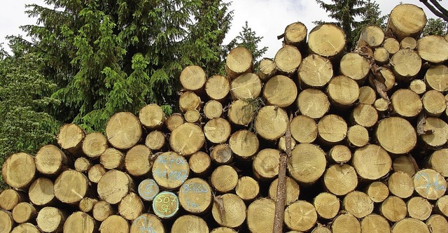 Fr 2022 werden bessere Holzpreise erw... positiven Betriebsergebnis gerechnet.  | Foto: Niederschsische Landesforsten