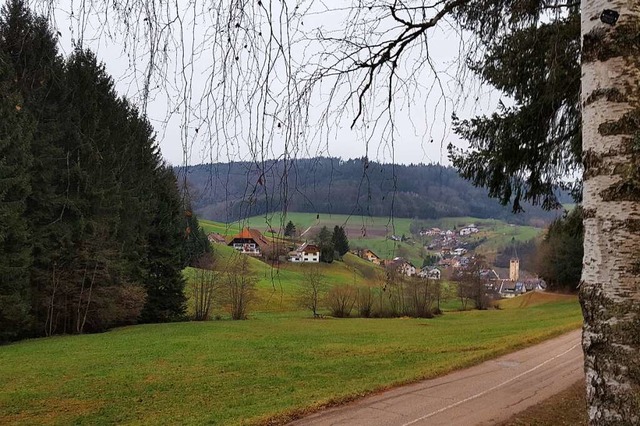 Auf diesem Gelnde unterhalb der Prins...er Wald- und Naturkindergruppe stehen.  | Foto: Beate Zehnle-Lehmann