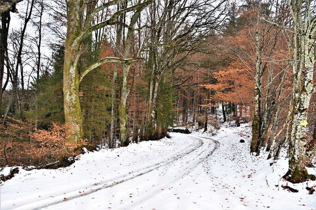 Auf idyllische Wege fhrt das nun erwe...mt  104 Kilometer auf  Gemarkung Zell.  | Foto: Angelika Schmidt