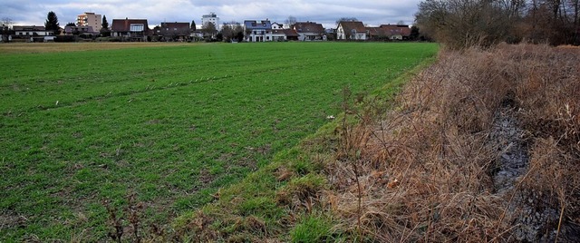 An die Nahwrmeversorgung soll das Bau...reut in Teningen angeschlossen werden.  | Foto: Markus Zimmermann