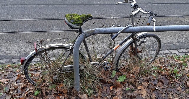 <Spitzmarke>Antikrad</Spitzmarke>: Hie...t das richtige Rad fr die Green City.  | Foto: Martin Hornecker