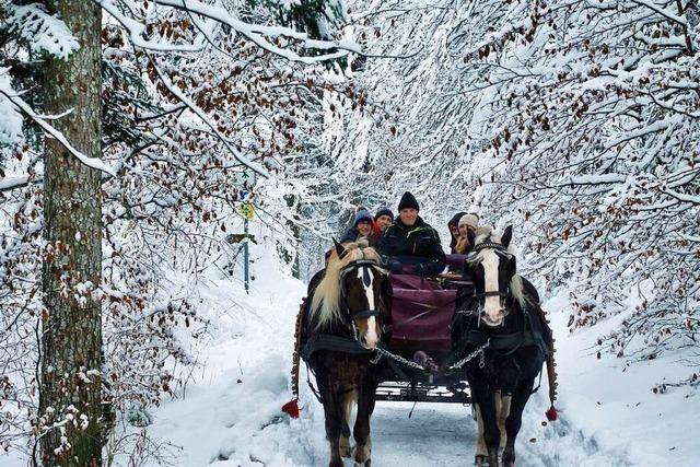 Mit der Pferdekutsche rein ins Schneevergngen im Hochschwarzwald