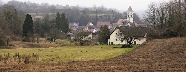 Im Malterdinger Wiesental sollen demnchst Einzel- und Doppelhuser entstehen.   | Foto: Michael Haberer