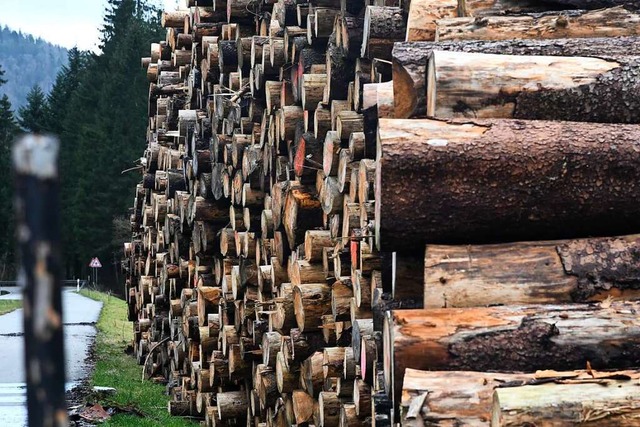 Das Ergebnis des Todtnauer Forstbetrie...gt auch an den hohen Preisen fr Holz.  | Foto: Jonas Hirt