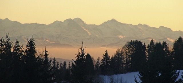   | Foto: Karin Stckl-Steinebrunner