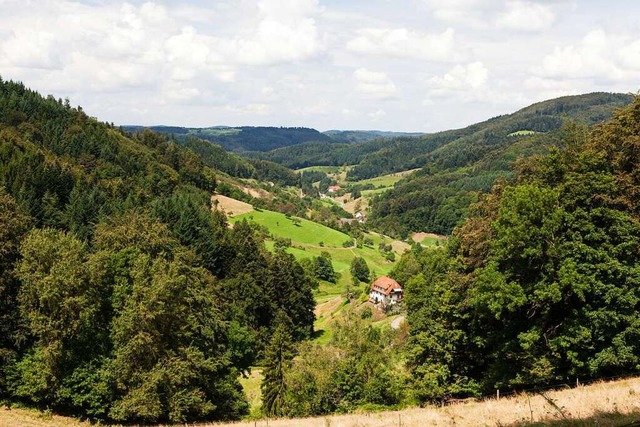 Gscheid: Blick von der Wasserscheide nach Freiamt   | Foto: Gabriele Zahn