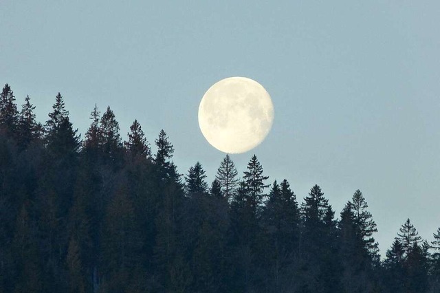 Der Mond beeinflusst die Qualitt des ...rnte in Phasen des abnehmenden Mondes.  | Foto: Peter Mika
