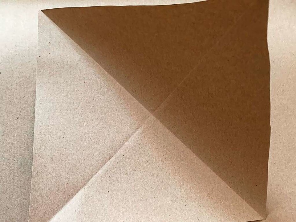 Kartonpapier schneiden und knicken  | Foto: Selma Leipold