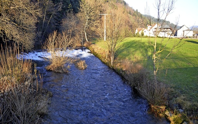 Wer wird knftig an der Elz in Niederw... das Elzwehr bei der Schwangenbrcke.   | Foto: Nikolaus Bayer