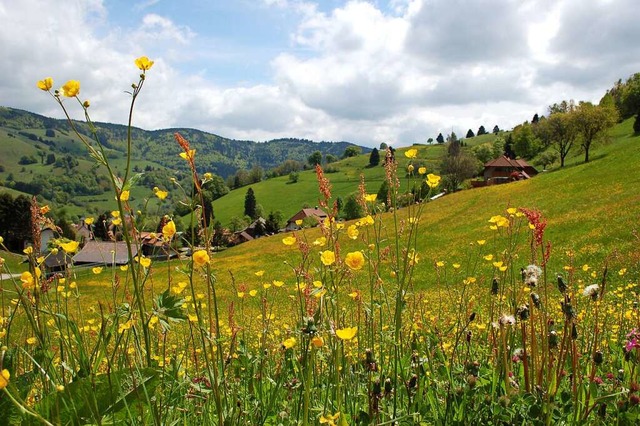 Eine Landschaft, die sich nicht von se...ersteht: der Sdschwarzwald bei Wieden  | Foto: Stefan Hupka