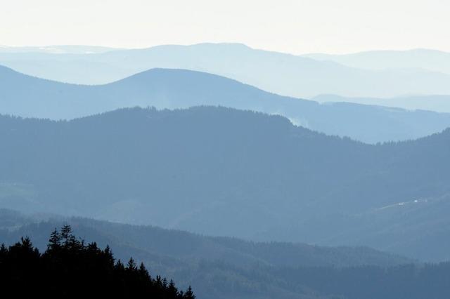Warum der Schwarzwald ein Wunder-Wald ist