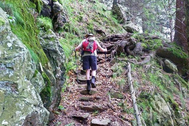 Eine Spur wilder – der Alpine Pfad am Feldberg