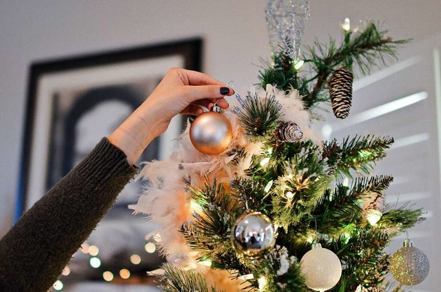 Den Baum schmcken und Weihnachtsfilme...e der Traditionen der fudder-Redaktion  | Foto: Element5 Digital (unsplash.com)