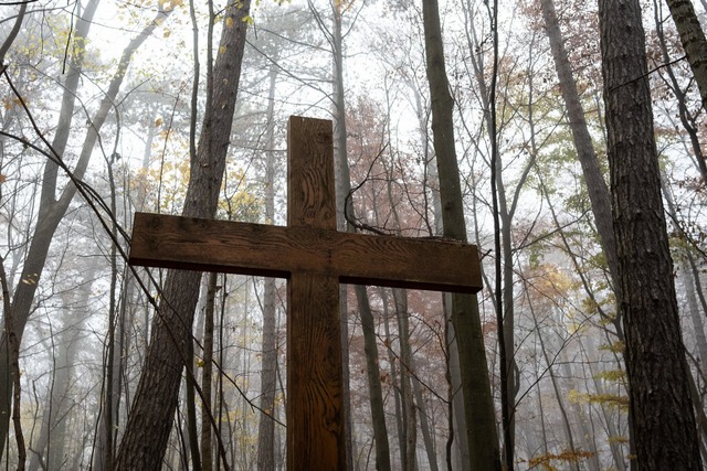 Ein Holzkreuz steht in einem Friedwald.  | Foto: Swen Pfrtner (dpa)