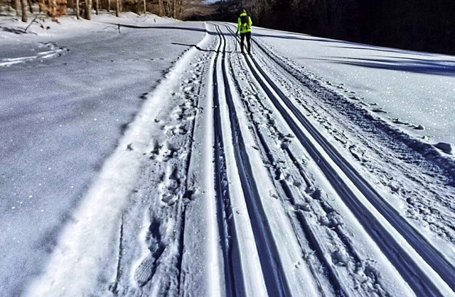 Langlaufen ist ein gelebter Wintertraum.   | Foto: Anselm Buhoff
