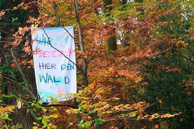 Stadt Mllheim will im Streit um den Eichwald deeskalieren