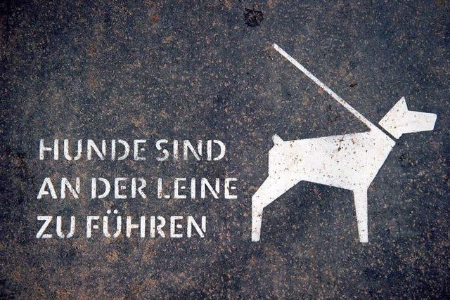 Bissiger Hund greift Spaziergänger in Freiburg-Lehen an