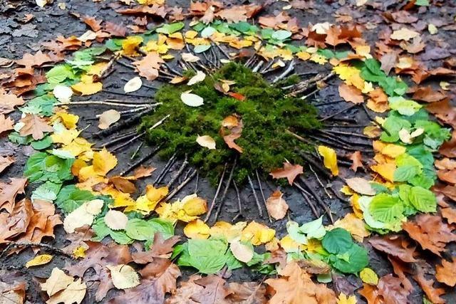 Ein Mandala aus Blättern, Moos und Zweigen