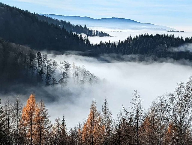 Nebel bei Horben.  | Foto: Almut Witzel