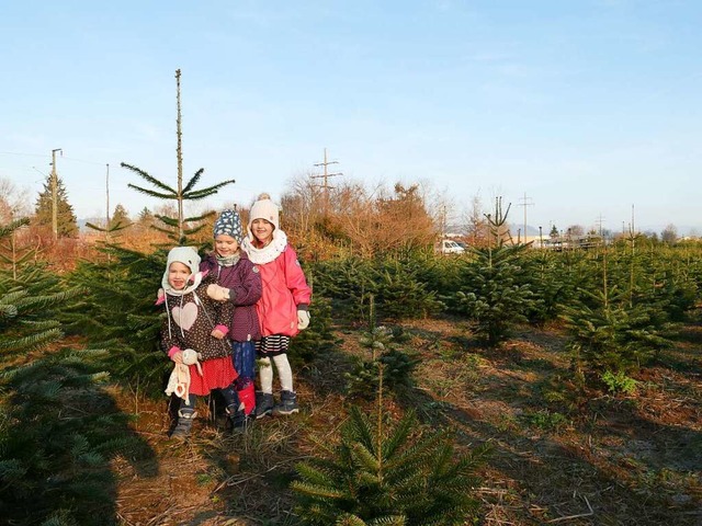 Selbst die Jngsten haben Spa bei Besuch der Weihnachtsbaumplantage.  | Foto: Martina David-Wenk