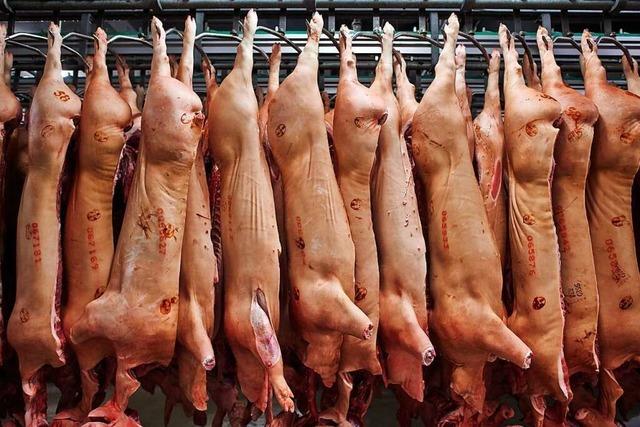 Ab Januar gilt in der Fleischindustrie ein Mindestlohn von 11 Euro