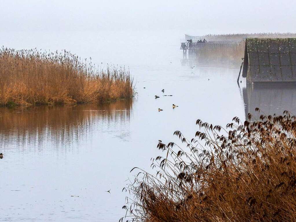 Menschen stehen im Nebel auf dem Steg am Federsee in Oberschwaben.