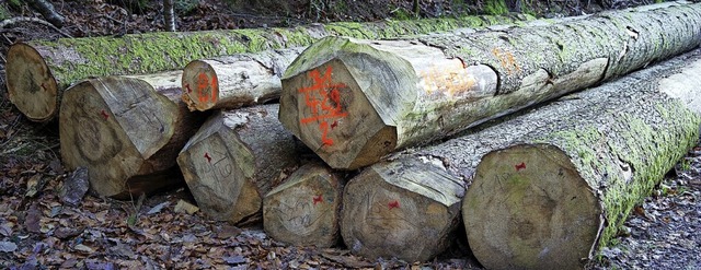 Holzeinschlag im Seelbacher Wald   | Foto: Beate Zehnle-Lehmann