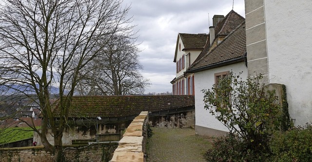 Der Bereich rund um Schloss und Kirche...er Gestaltungssatzung genommen worden.  | Foto: Frank Schoch