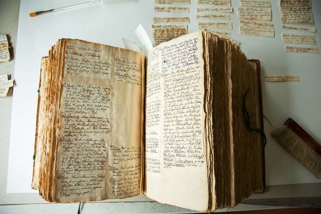 Aus 100000 Zetteln hat Spreng sein Wör...ng ist es zu seiner Zeit nie gekommen.  | Foto: Unibibliothek Basel
