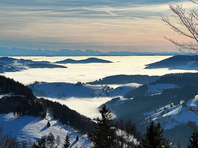 Im Bildhintergrund: die Alpen.  | Foto: Jrg Eckert