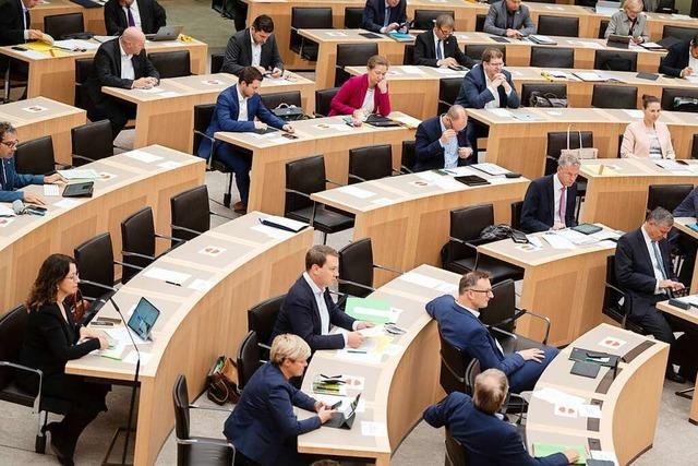 So arbeitete der Landtag von Baden-Württemberg im Corona-Jahr 2021