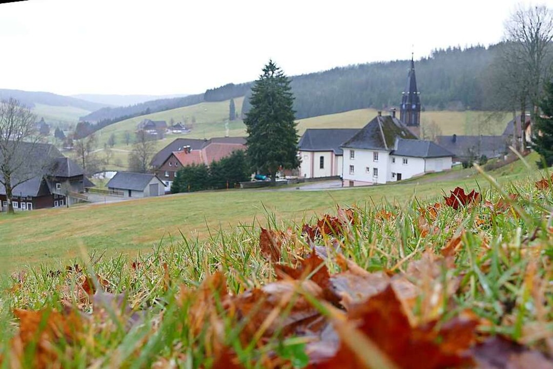 Gruppe junger Waldau erschließt Neubaugebiet im Dorf TitiseeNeustadt