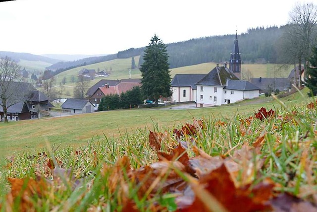 Elf Baupltze sollen auf der Flche hi...aldau entstehen (Archivfoto von 2019).  | Foto: Tanja Bury