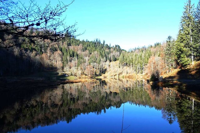 Am Nonnenmattweiher wurde ein Badeverbot diskutiert.  | Foto: Hans-Jrgen Henke