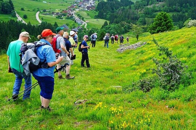 Ihre fachkundig gefhrten Exkursionen ...rkessel) machen die NFG heute beliebt.  | Foto: Werner Konold