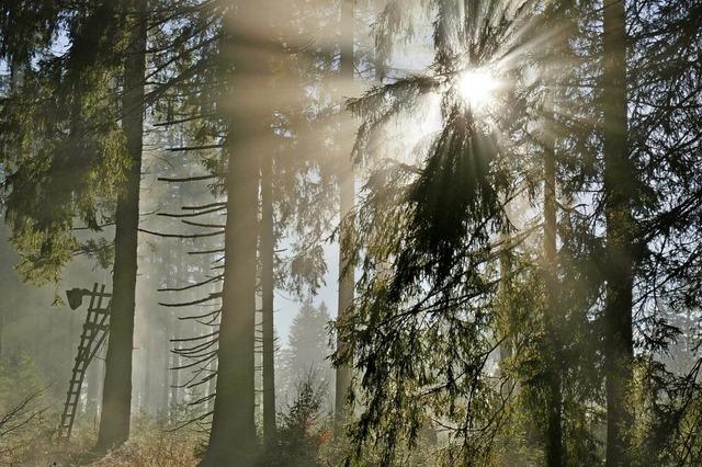 Leise Lichtspiele zum Jahresausklang