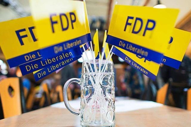 Wahljahr bringt Parteien Millionen-Spendensegen - FDP liegt vorn