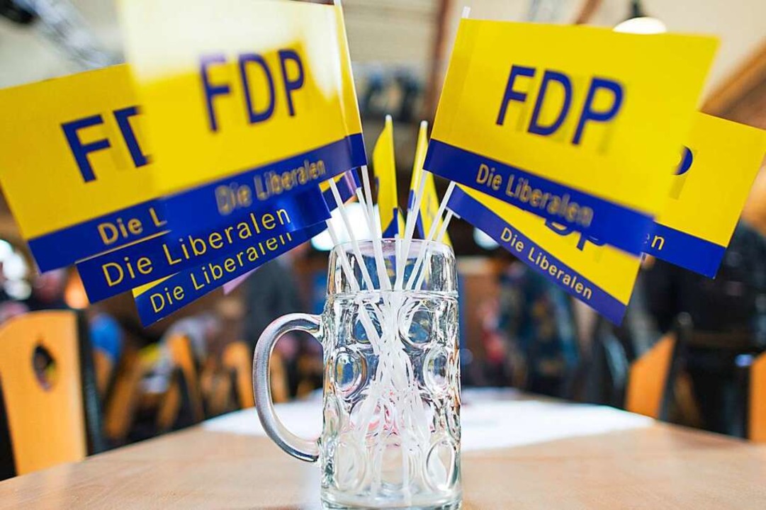 FDP bekommt am meisten  | Foto: Uwe Anspach (dpa)