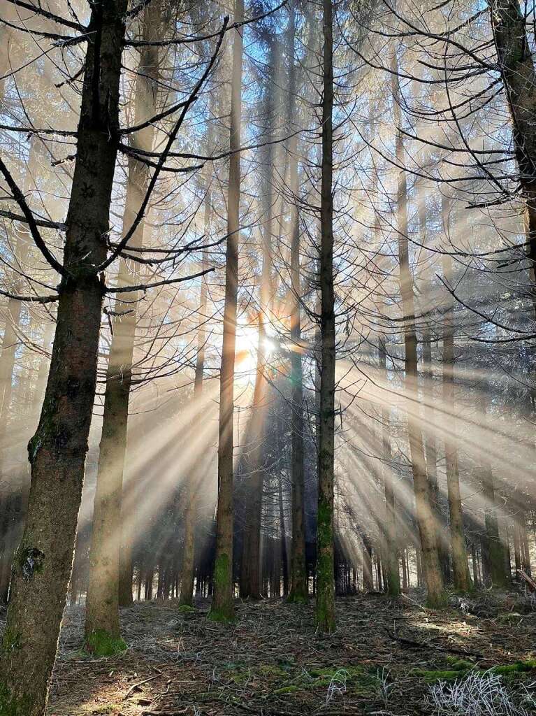 Lichtspiele beim Hnersedel, aufgenommen von Marita Leonhardt.