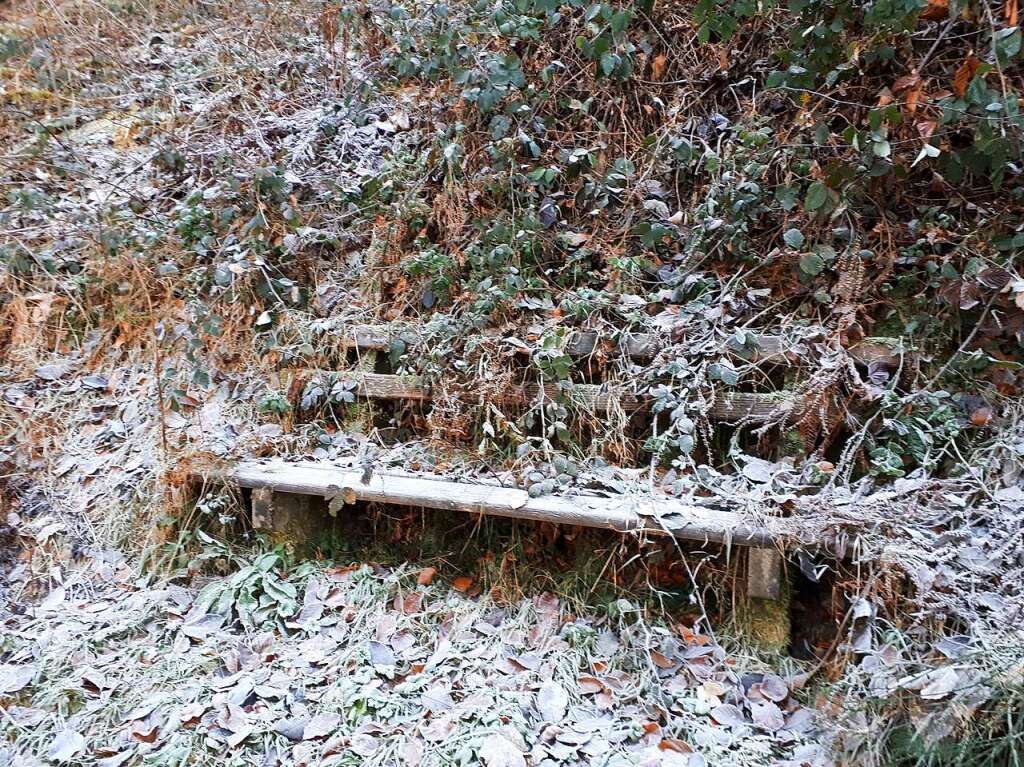 Ein verwunschenes Bnkle im Winterschlaf, fotografiert von Klara Kern.