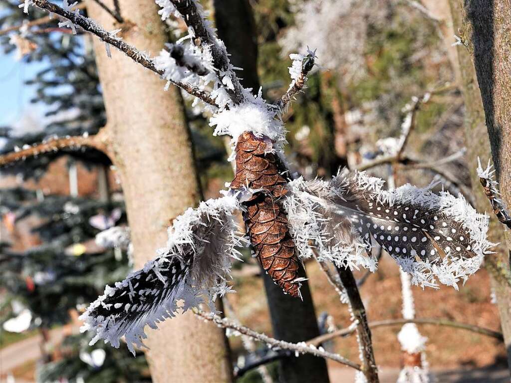 Die Natur entschdigt fr so manche trbe Stunde beraus grozgig. Und das ganze ohne menschliches Zutun, dabei entstehen die reinsten Kunstwerke, findet Konrad Saier.