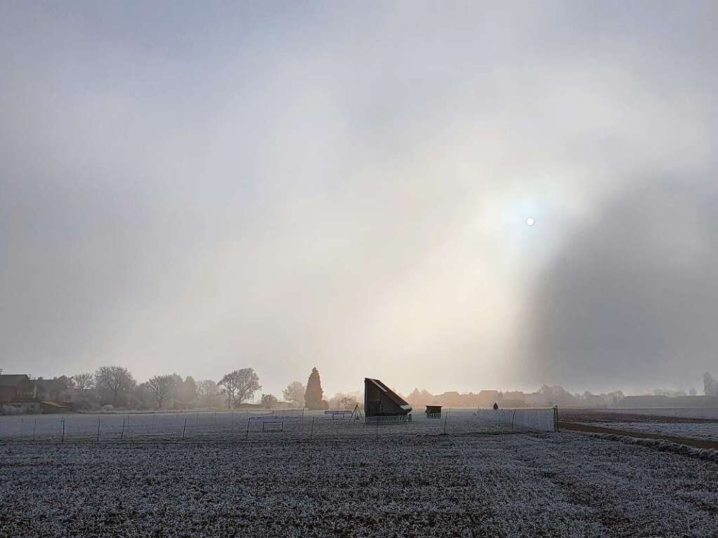 Reif, Nebel und Sonne, diese Kombination, aufgenommen bei Kollmarsreute, inspirierte Eva-Maria Einert.